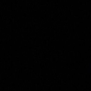 Meet your Posher, Hodaliz